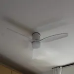 39 Moltrasio, Moltrasio